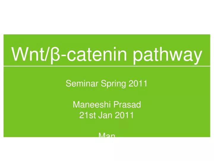 wnt catenin pathway