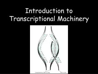 Introduction to Transcriptional Machinery