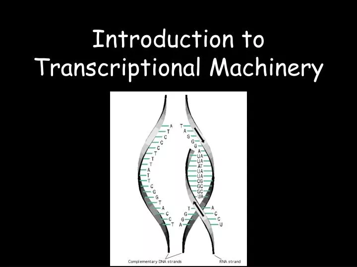 introduction to transcriptional machinery