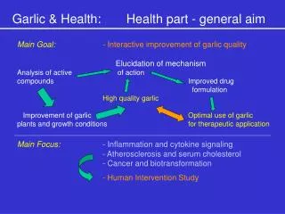 Garlic &amp; Health:	Health part - general aim