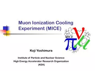 Muon Ionization Cooling Experiment (MICE)