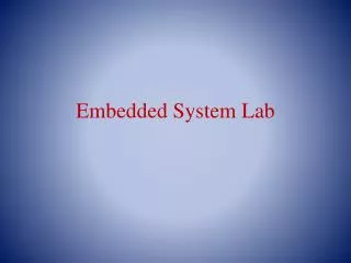 Embedded System Lab