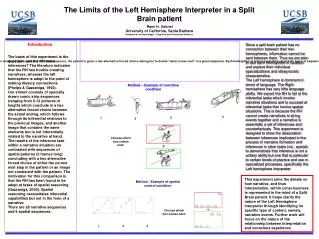 The Limits of the Left Hemisphere Interpreter in a Split Brain patient
