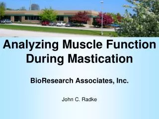 Analyzing Muscle Function During Mastication