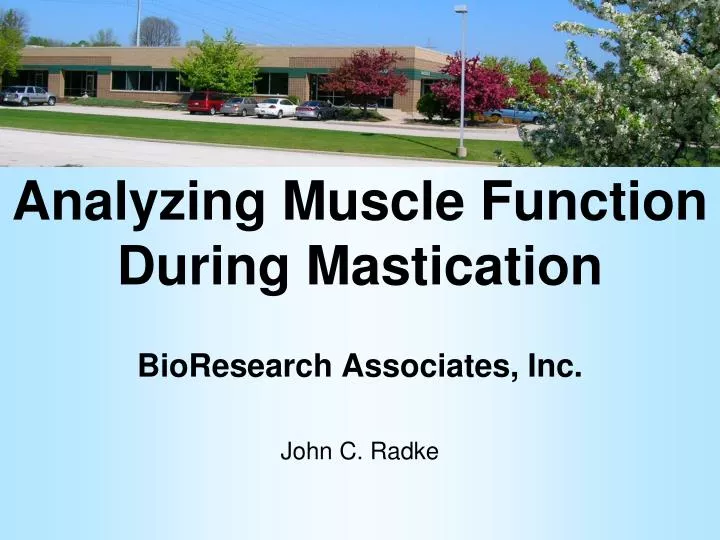 analyzing muscle function during mastication