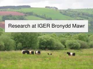 Research at IGER Bronydd Mawr