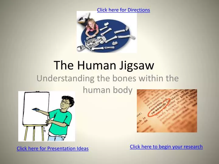 the human jigsaw