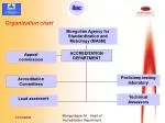 Organization chart - slide 1