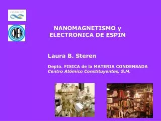 NANOMAGNETISMO y ELECTRONICA DE ESPIN