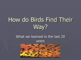 How do Birds Find Their Way?