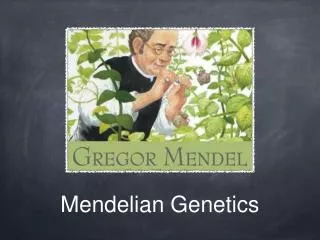 Mendelian Genetics