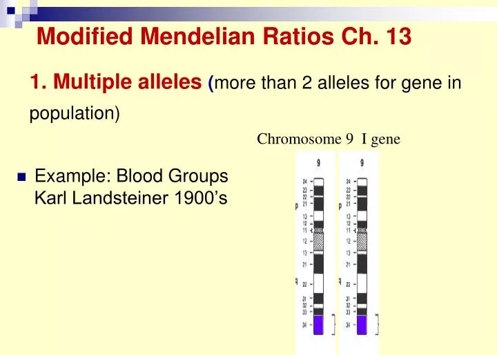 1 multiple alleles more than 2 alleles for gene in population
