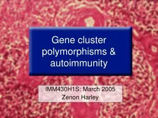 Gene cluster polymorphisms &amp; autoimmunity
