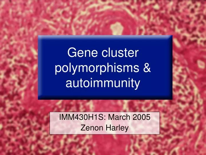 gene cluster polymorphisms autoimmunity