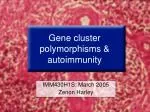 Gene cluster polymorphisms &amp; autoimmunity - slide 1