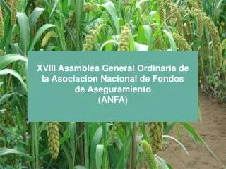 XVIII Asamblea General Ordinaria de la Asociación Nacional de Fondos de Aseguramiento (ANFA)