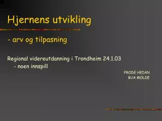 hjernens utvikling