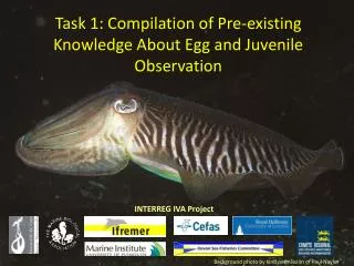 Task 1: Compilation of Pre-existing Knowledge About Egg and Juvenile Observation