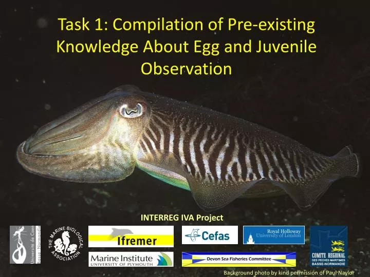 task 1 compilation of pre existing knowledge about egg and juvenile observation