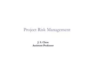 project risk management