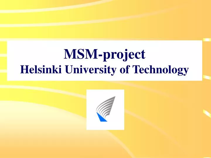 msm project helsinki university of technology