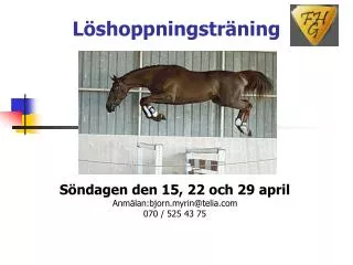 l shoppningstr ning