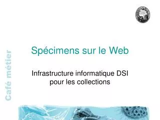 sp cimens sur le web