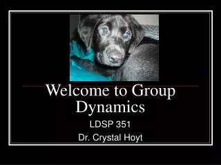Welcome to Group Dynamics