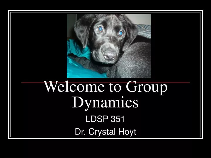 welcome to group dynamics