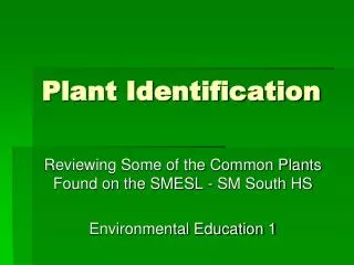 Plant Identification