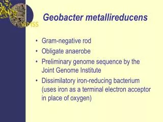 Geobacter metallireducens