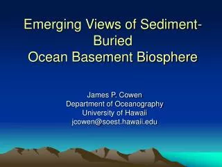 Emerging Views of Sediment-Buried Ocean Basement Biosphere