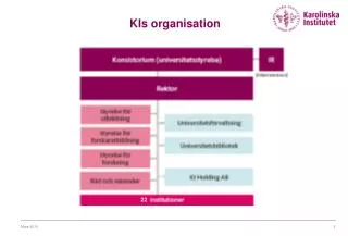kis organisation