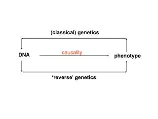 (classical) genetics