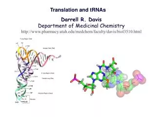 Translation and tRNAs