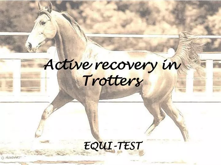 active recovery in trotters