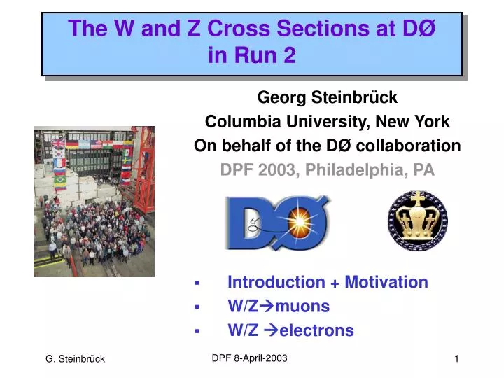 the w and z cross sections at d in run 2