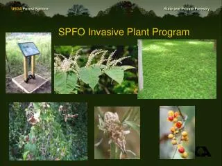 SPFO Invasive Plant Program