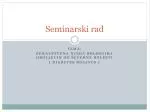 Seminarski rad - slide 1