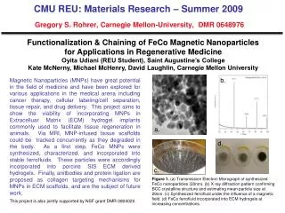 Functionalization &amp; Chaining of FeCo Magnetic Nanoparticles