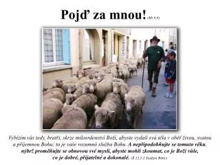 poj za mnou mt 9 9
