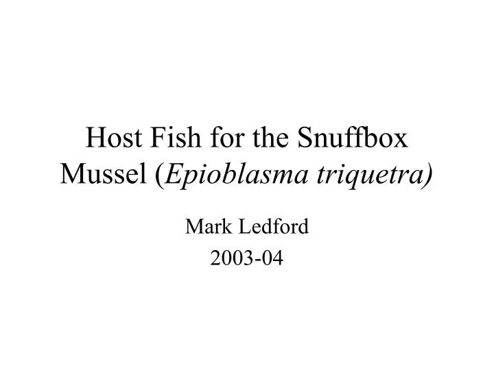 host fish for the snuffbox mussel epioblasma triquetra