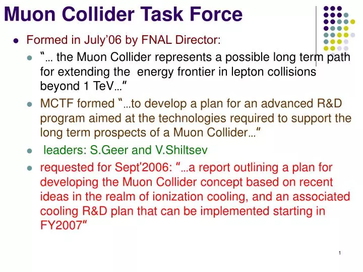 muon collider task force