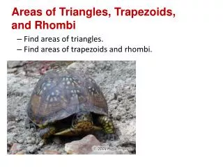 Areas of Triangles, Trapezoids, and Rhombi