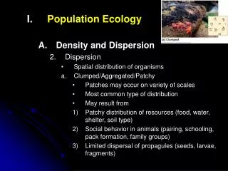 Population Ecology Density and Dispersion Dispersion Spatial distribution of organisms