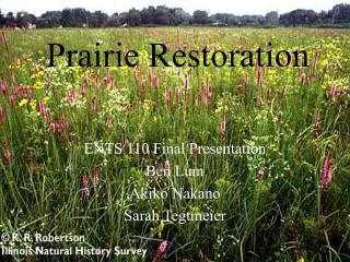 Prairie Restoration