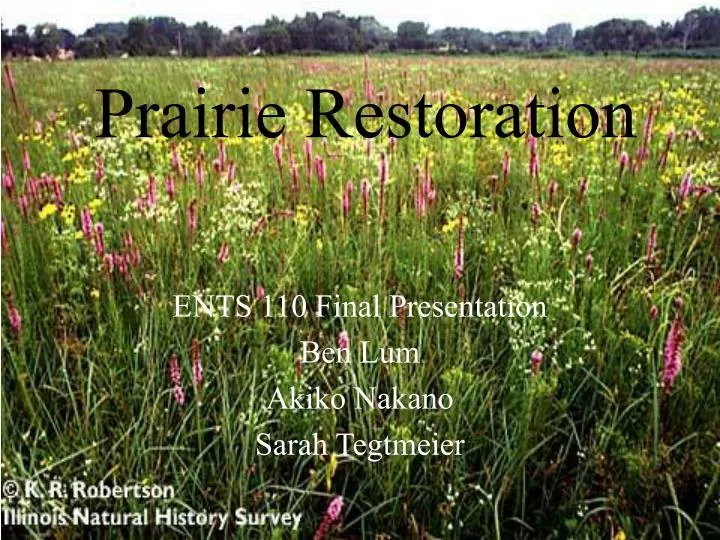 prairie restoration