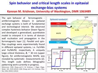 Spin behavior and critical length scales in epitaxial exchange-bias systems