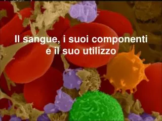 il sangue i suoi componenti e il suo utilizzo