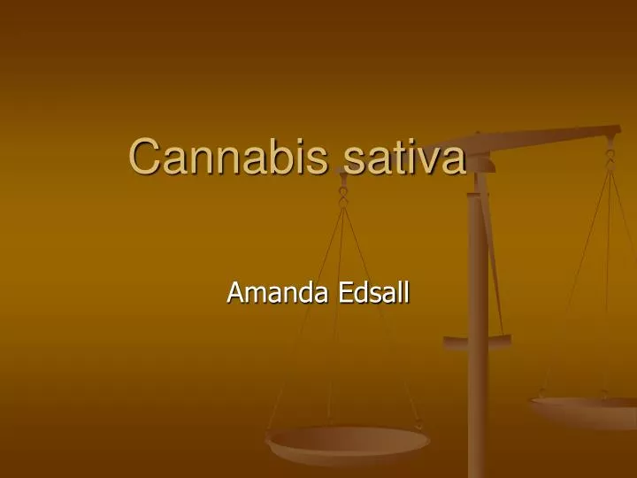 cannabis sativa